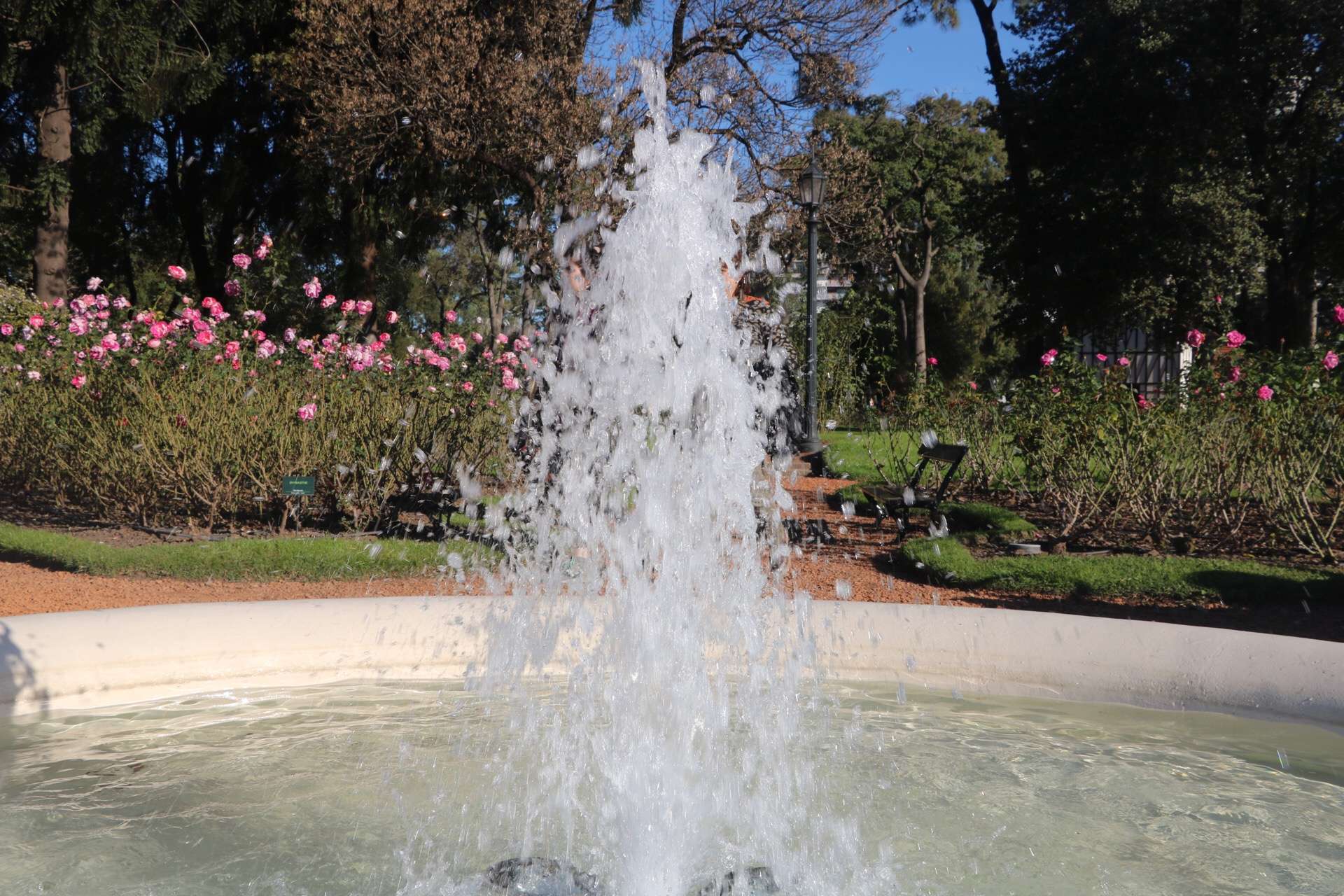 image00008