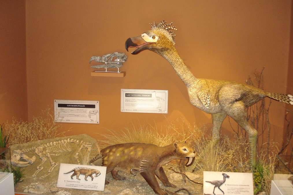 Miramar Museo Ciencias Naturales 08